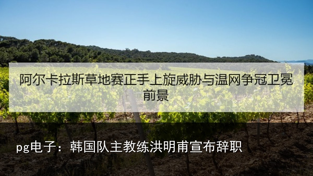pg电子：韩国队主教练洪明甫宣布辞职