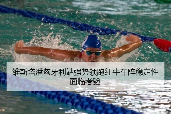 维斯塔潘匈牙利站强势领跑红牛车阵稳定性面临考验