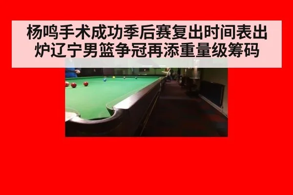 杨鸣手术成功季后赛复出时间表出炉辽宁男篮争冠再添重量级筹码